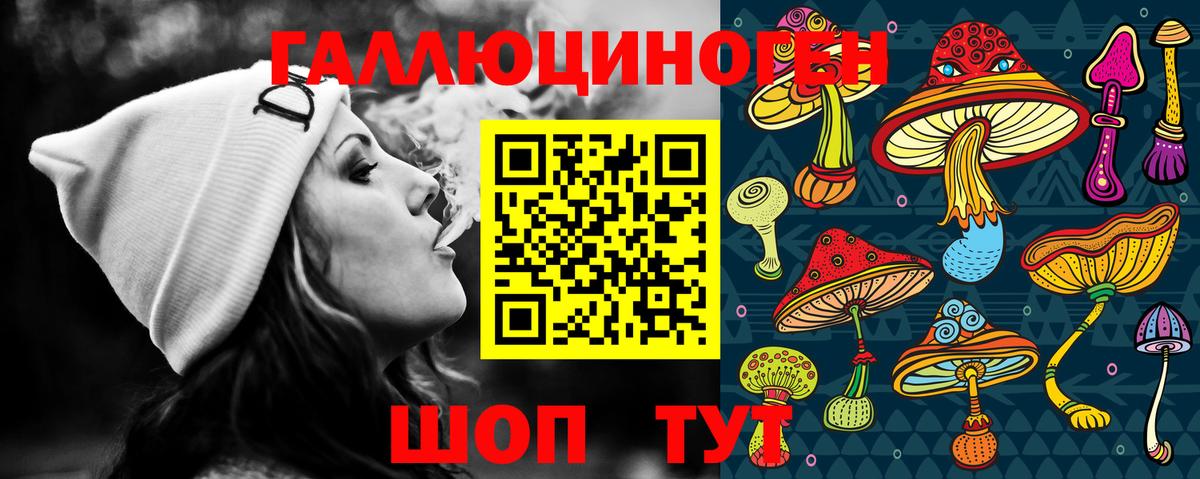 Галлюциногенные грибы GOLDEN TEACHER  Галлюциногенные грибы Psilocybine cubensis  Вход с VPN  что такое   Калуга 